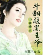 小妾掀桌,斗翻腹黑王爷