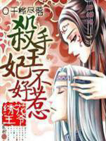绣花王爷：杀手王妃不好惹