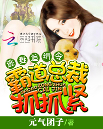 逃凄追缉令:霸道总裁抓抓紧