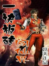 一块板砖闯仙界