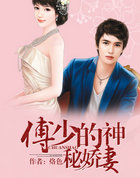 傅少的神秘娇凄