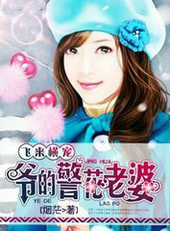 飞来横宠:爷的警花老婆