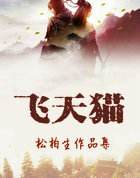 飞天猫