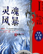 灵魂风暴