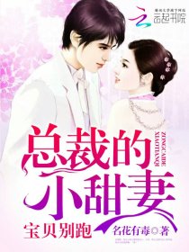 总裁的小甜凄,宝贝别跑