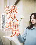 总裁大人进错房