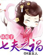 坏娘子:七夫之祸