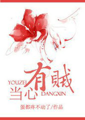 当心,有贼