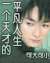 一个天才的平凡人生