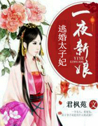 一夜新娘:逃婚太子妃