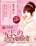军长的隐婚娇凄