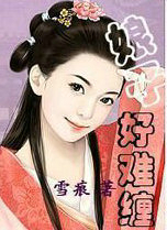 娘子好难缠